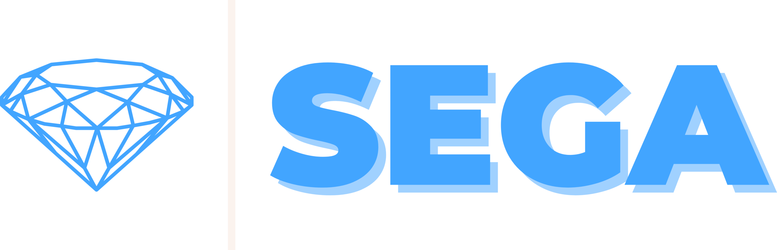 Sega Takım